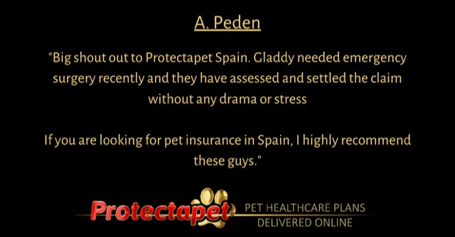 Protectapet Customer Testimonial 